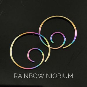    Cecile Stewart Rainbow Niobium Hoop Earrings For Sensitive Ears  Metal Allergies